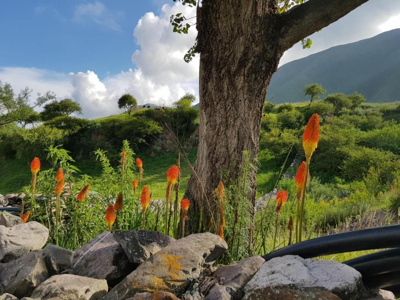 La Morada Villa Purmamarca Dış mekan fotoğraf